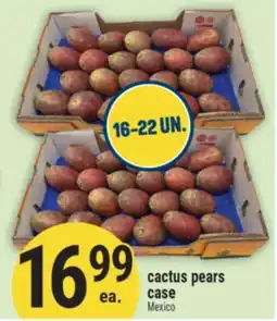 Marché Adonis CACTUS PEARS CASE offer