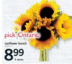 Fortinos SUNFLOWER BUNCH, 5 STEMS offer