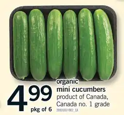 Fortinos ORGANIC MINI CUCUMBERS, PKG OF 6 offer