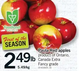 Fortinos PAULA RED APPLES offer