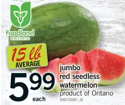 Fortinos JUMBO RED SEEDLESS WATERMELON, 15 LB AVERAGE offer