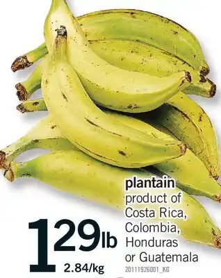 Fortinos PLANTAIN offer