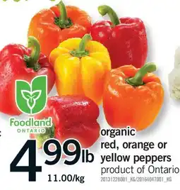 Fortinos ORGANIC RED, ORANGE OR YELLOW PEPPERS offer