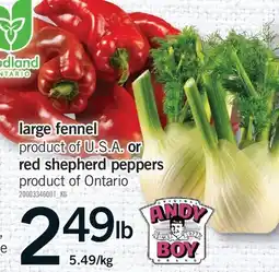 Fortinos LARGE FENNEL OR RED SHEPHERD PEPPERS offer