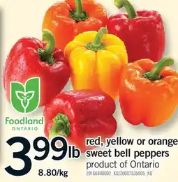 Fortinos RED, YELLOW OR ORANGE SWEET BELL PEPPERS offer