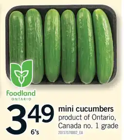 Fortinos MINI CUCUMBERS, 6'S offer