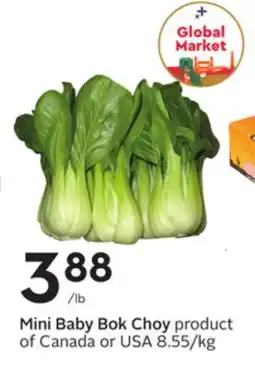 Sobeys Mini Baby Bok Choy offer