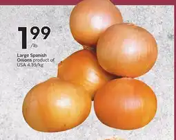 Sobeys Large Spanish Onions offer