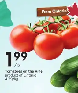 Sobeys Tomatoes on the Vine offer