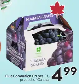 Sobeys Blue Coronation Grapes offer