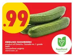 No Frills ENGLISH CUCUMBERS, EACH offer