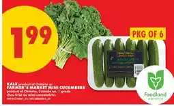 No Frills KALE OR FARMER'S MARKET MINI CUCUMBERS, PKG OF 6 offer