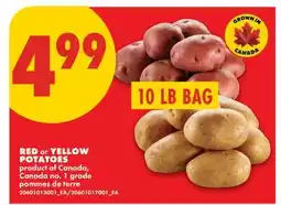 No Frills RED or YELLOW POTATOES, 10 LB BAG offer