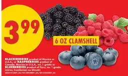 No Frills BLACKBERRIES, RASPBERRIES OR BLUEBERRIES, 6 OZ CLAMSHELL offer
