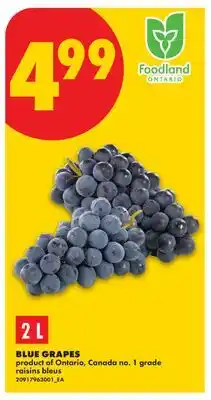 No Frills BLUE GRAPES offer