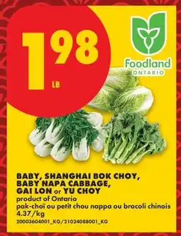 No Frills BABY, SHANGHAI BOK CHOY, BABY NAPA CABBAGE, GAI LON OR YU CHOY offer