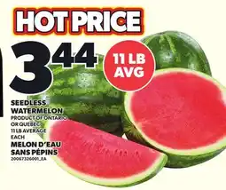 Independent Grocer SEEDLESS WATERMELON, 11 LB AVERAGE offer