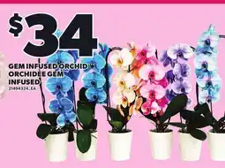 Independent Grocer GEM INFUSED ORCHID offer