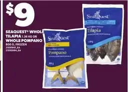 Loblaws SEAQUEST WHOLE TILAPIA, 1.36 KG OR WHOLE POMPANO, 800 G offer