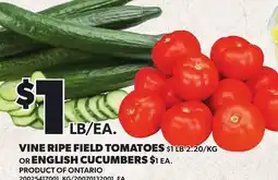 Loblaws VINE RIPE FIELD TOMATOES, $1 LB. OR ENGLISH CUCUMBERS, $1 EA offer