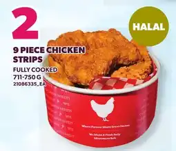 Loblaws 9 PIECE CHICKEN STRIPS offer
