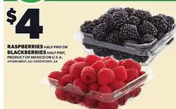 Loblaws RASPBERRIES, HALF PINT OR BLACKBERRIES, HALF PINT offer