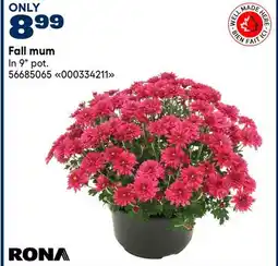 RONA Fall mum offer