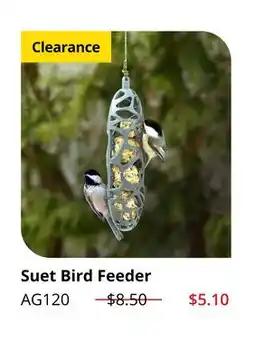 Lee Valley Tools Suet Bird Feeder offer