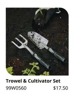 Lee Valley Tools Trowel & Cultivator Set offer