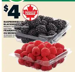 Valu-mart FRAMBOISES OU MÛRES, HALF PINT offer