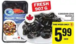 Food Basics CANADIAN COVE MUSSELS offer