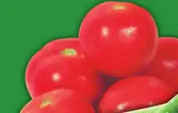 Food Basics GREEN, YELLOW OR GRAY ZUCCHINI OR FIELD TOMATOES offer
