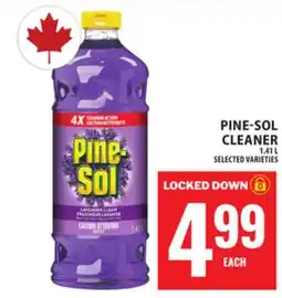 Food Basics PINE-SOL CLEANER offer
