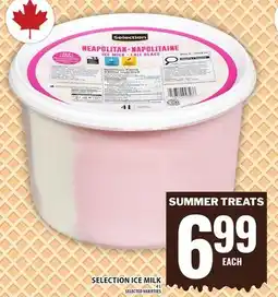 Food Basics SELECTION ICE MILK offer