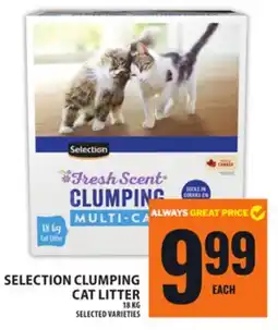 Food Basics SELECTION CLUMPING CAT LITTER offer