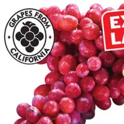 Food Basics GREEN OR RED SEEDLESS GRAPES offer