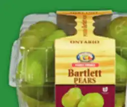 Food Basics BLUE PLUMS OR BLUE GRAPES offer