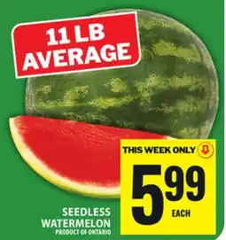 Food Basics SEEDLESS WATERMELON offer