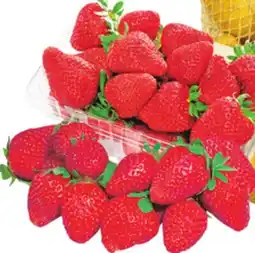 Food Basics STRAWBERRIES offer