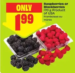 FreshCo Raspberries or Blackberries 170 g Product of USA offer