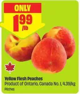 FreshCo Yellow Flesh Peaches Product of Ontario, Canada No. 1, 4.39/kg offer