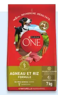 Walmart Purina ONE dry dog food offer