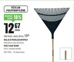 BMR BALAI À FEUILLES EN POLY offer