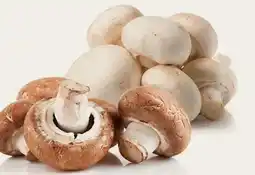 Avril Québec champignons blancs ou café bios offer