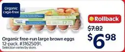 Walmart Great Value organic free-run large brown eggs offer