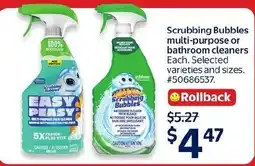 Walmart Scrubbing Bubbles multi-purpose or bathroom cleaners offer
