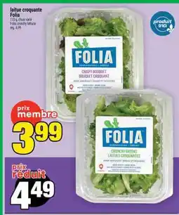 Super C laitue croquante Folia offer