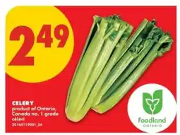 No Frills CELERY offer