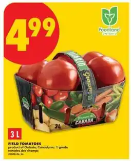 No Frills FIELD TOMATOES offer