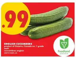 No Frills ENGLISH CUCUMBERS offer